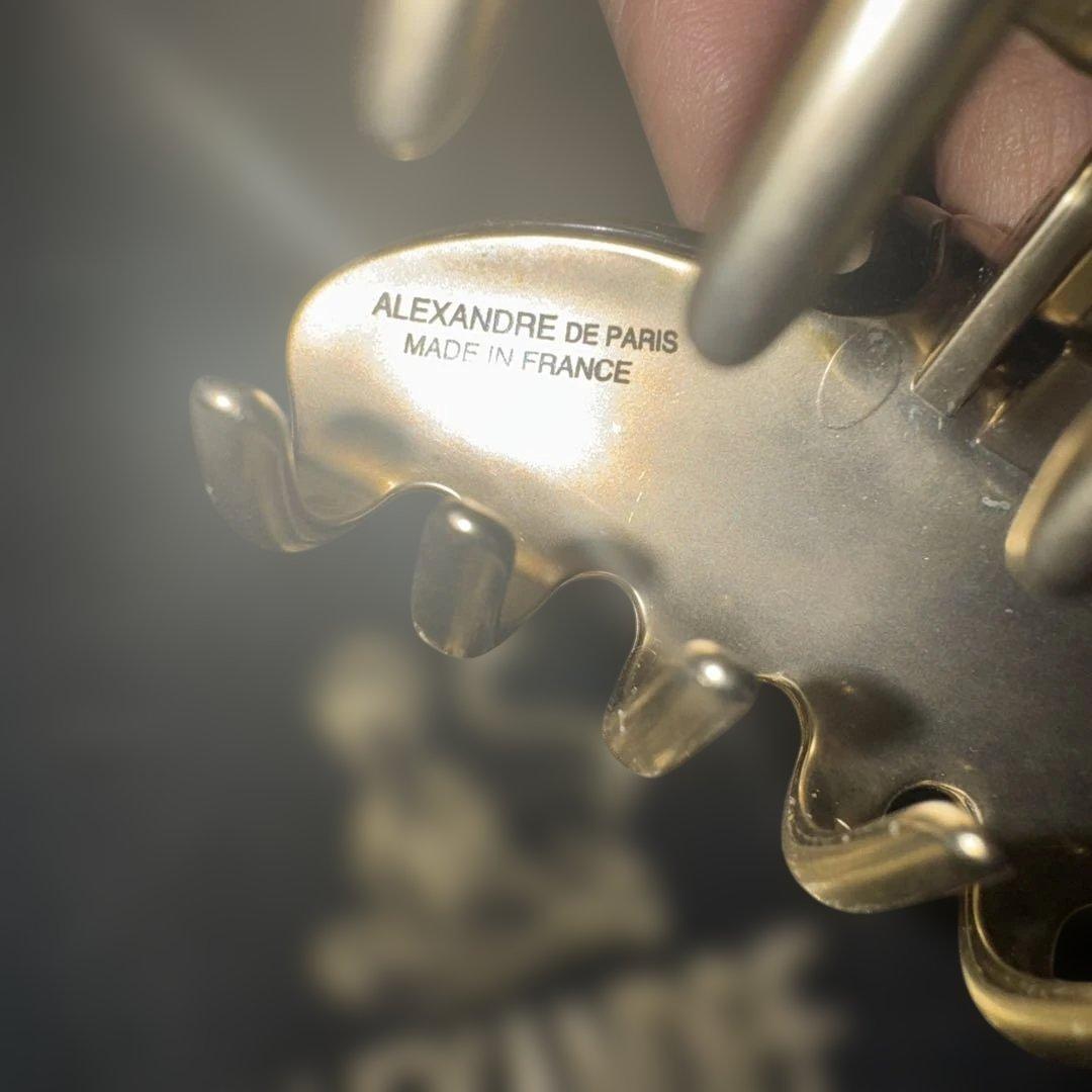 美品ALEXANDRE DE PARIS ヘアクリップ 黒