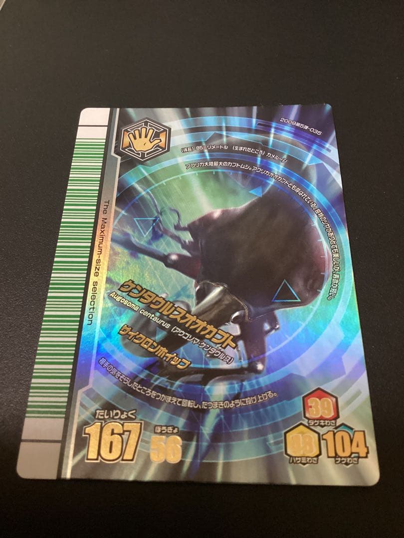 ぷてらす　ヘルクレスオオカブト 他