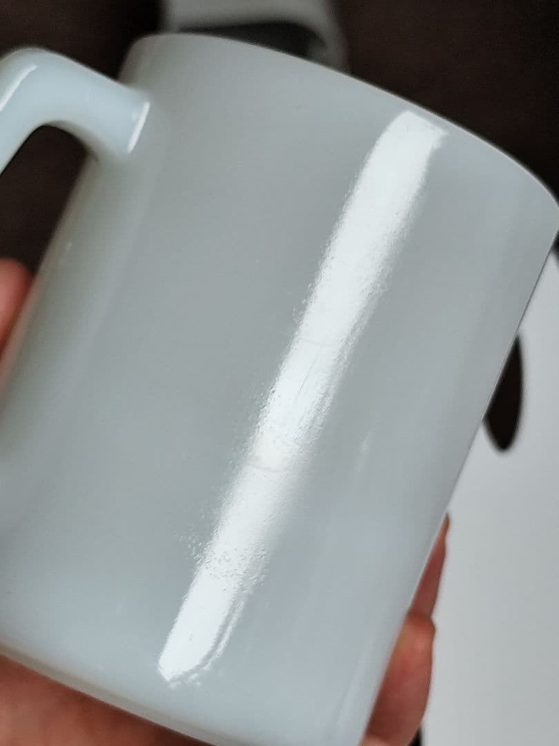 レア　フリントストーンズ　マグ　フェデラル