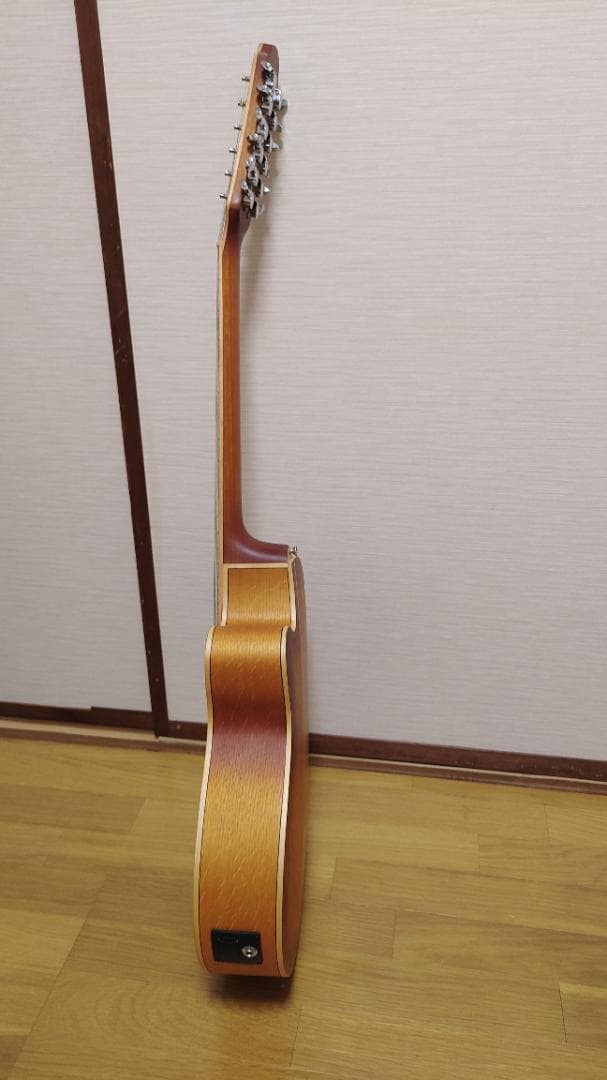 ギター Aria FET12/SPL LVS