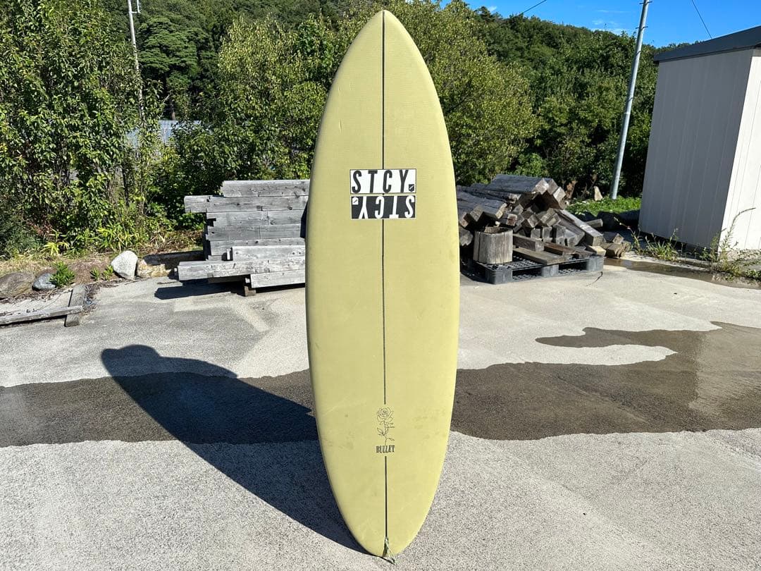 ステーシー×オーシャンアンドアースコラボ　ソフトボード　5’8 ツインピン