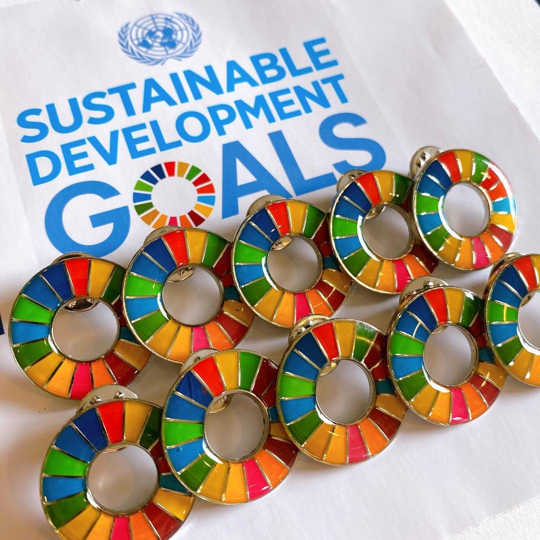 【特別提供品】SDGs  ピンバッジ　10点　新品未使用　【国連本部入手品】