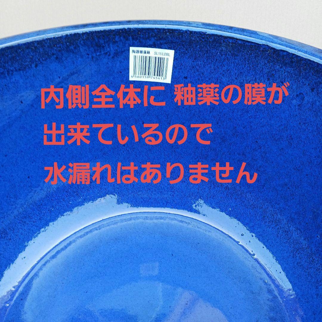 新品　∅50　特大　陶器　睡蓮鉢　手造り　メダカ鉢　難有　ラピスブルー　青LDB