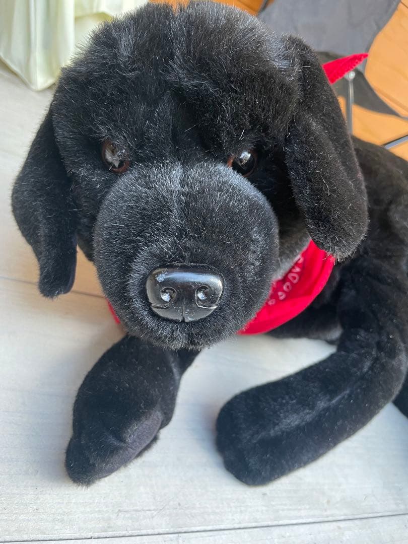 特大全長90cm等身大ワンちゃん　犬ぬいぐるみ DITZ ラブラドール