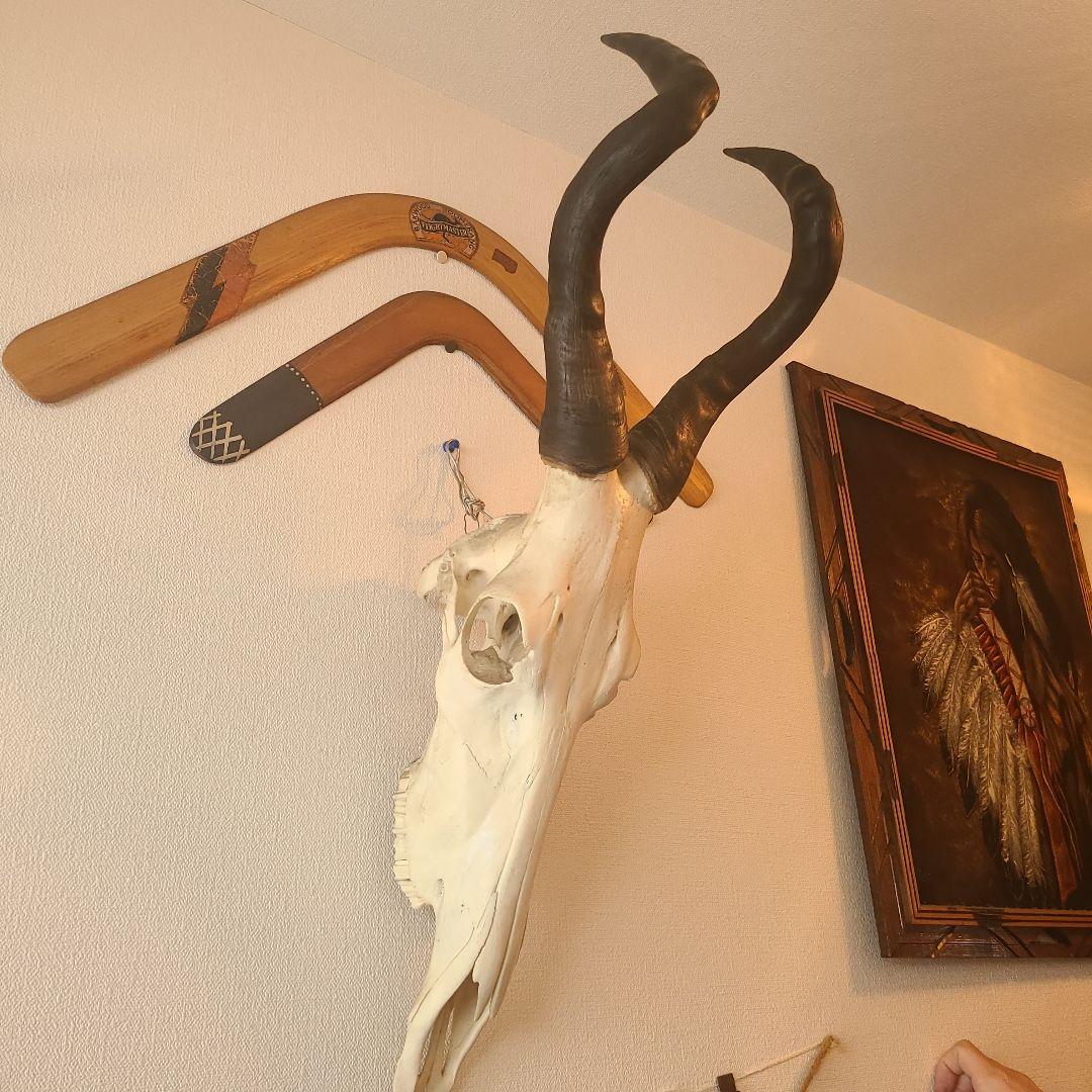 最終値下げ　バッファロースカル　牛頭蓋骨　壁掛け　オブジェ