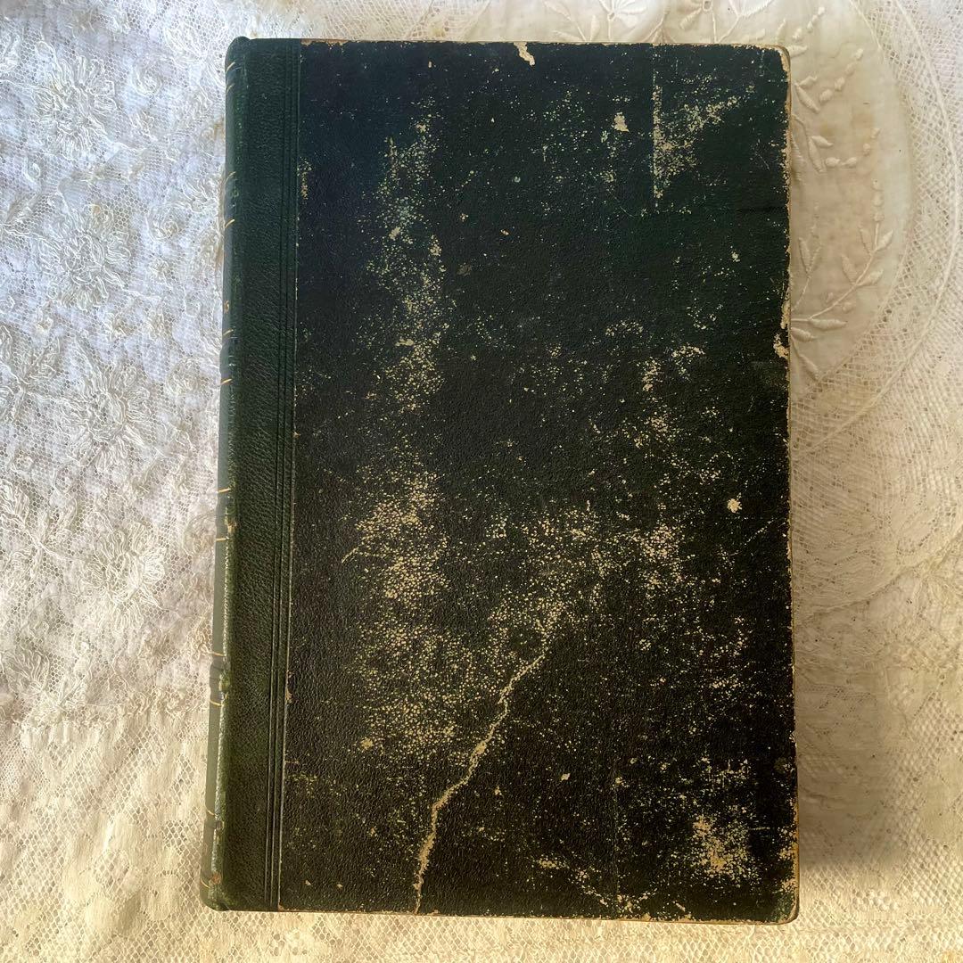 マガジン・デ・ドゥモアゼル1863年　フランスアンティーク　本　古書　彩色銅版画