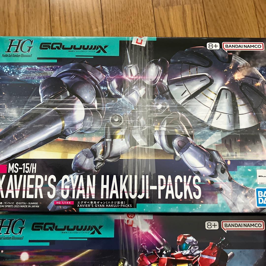 HG 軽キャノン HG エグザベ専用　ギャン　（ハクジ装備） 模型 ガンプラ