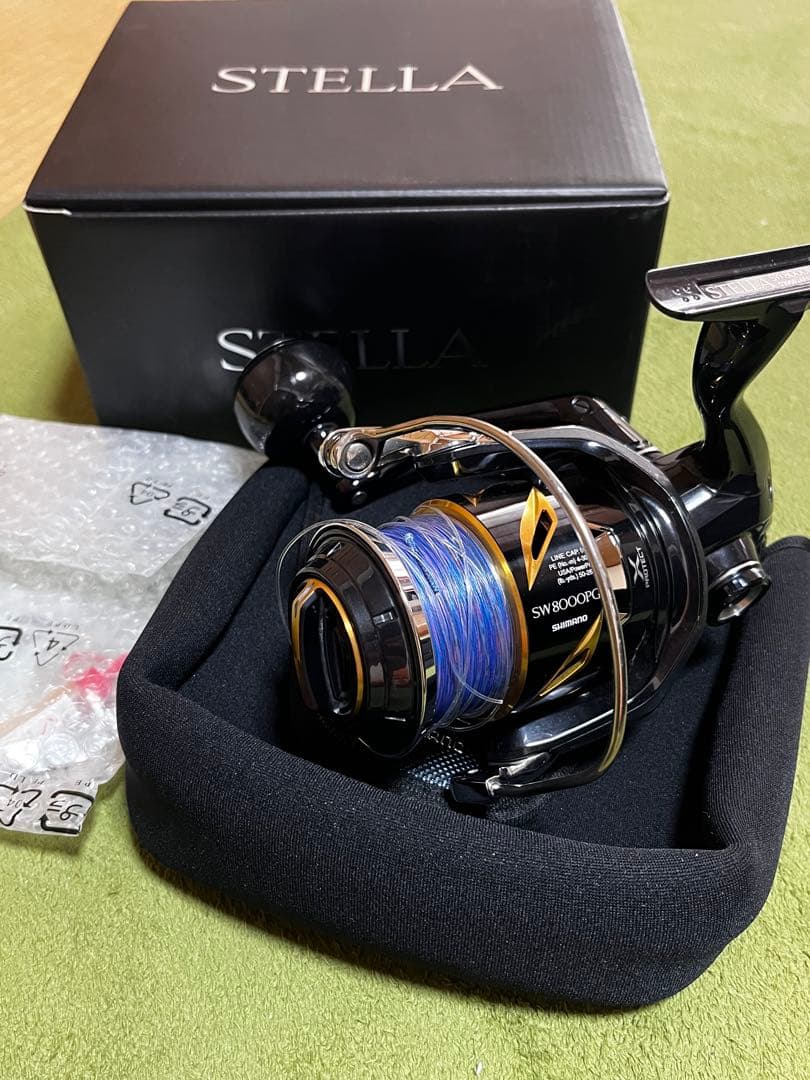 19ステラsw 8000PG