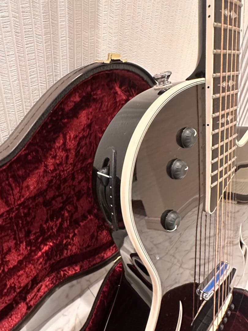 テイラーTaylor T5z Pro GAL