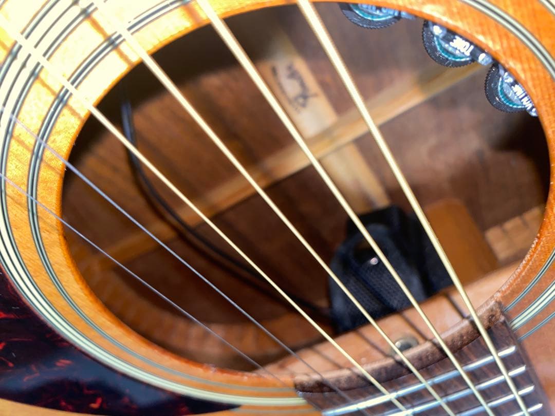 アコースティックギター　fender