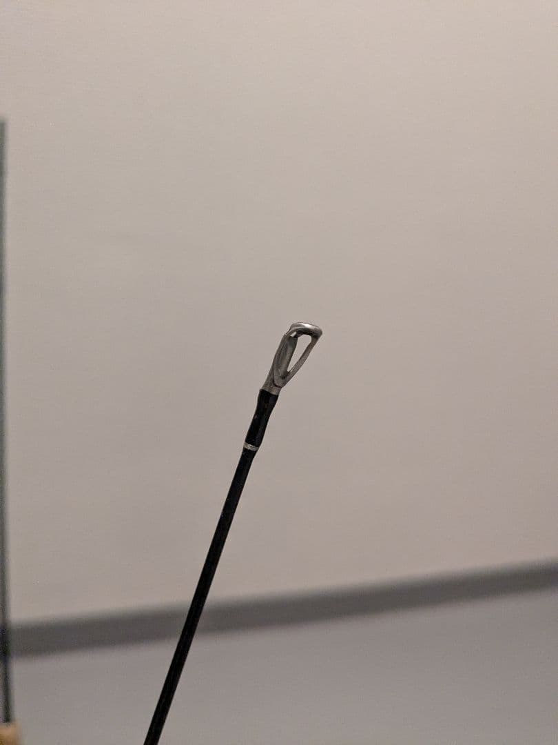 パームス　エゲリアネイティブパフォーマンス　ETVS-54XUL