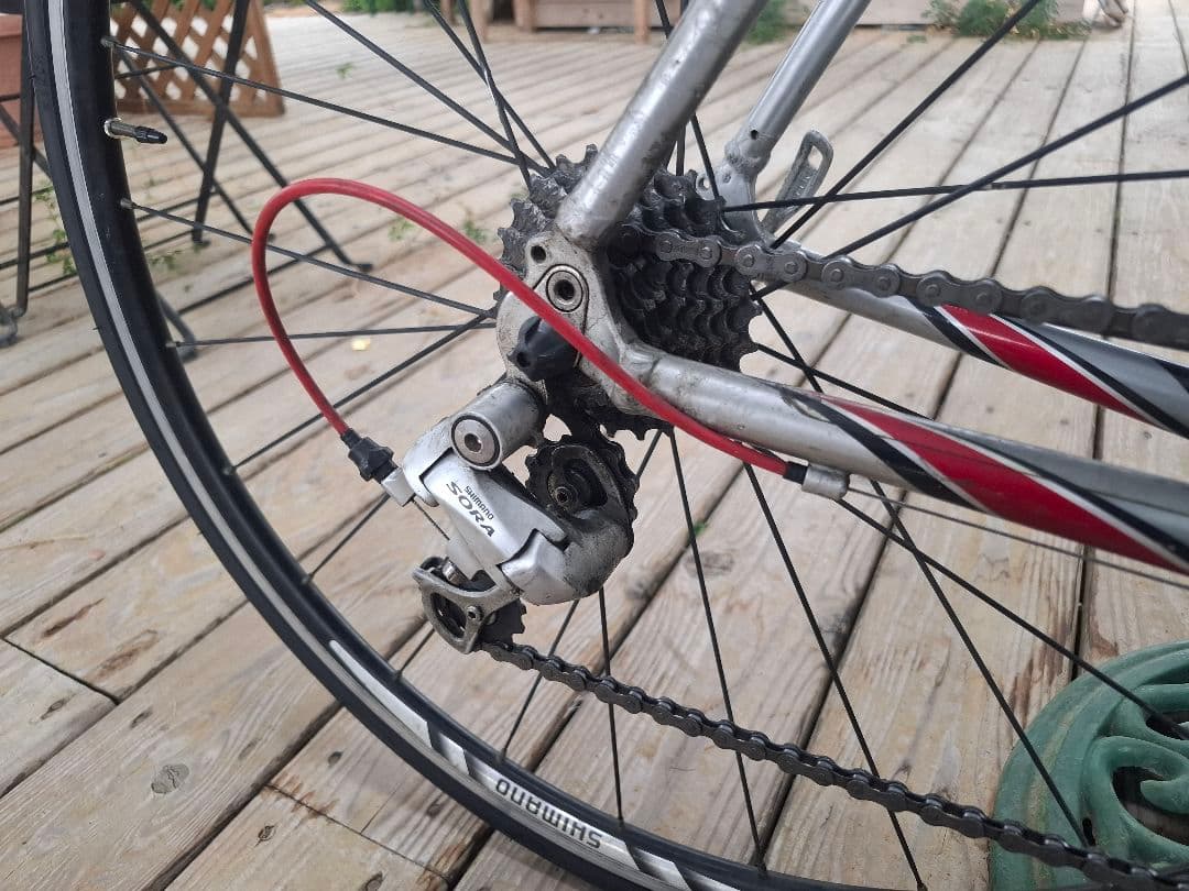 Trek 引取希望です