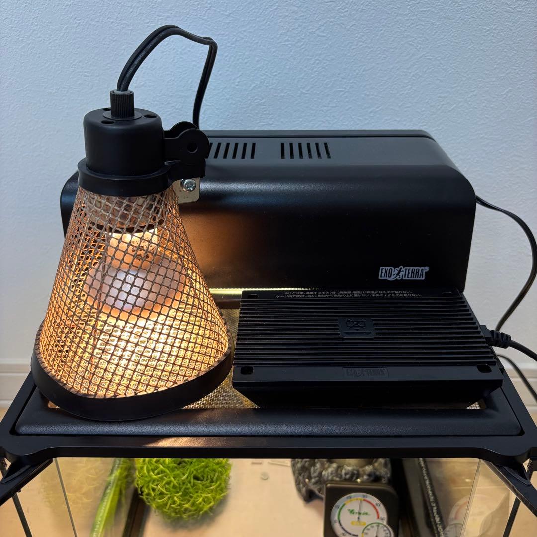 【プロフ必読】グラステラリウム3030とその他付随品のセット