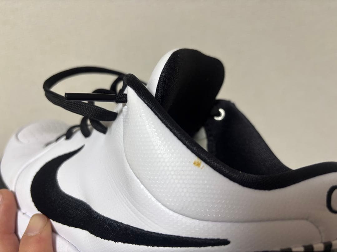 シューズ(男性用) Nike Kobe4 protro Mambacita