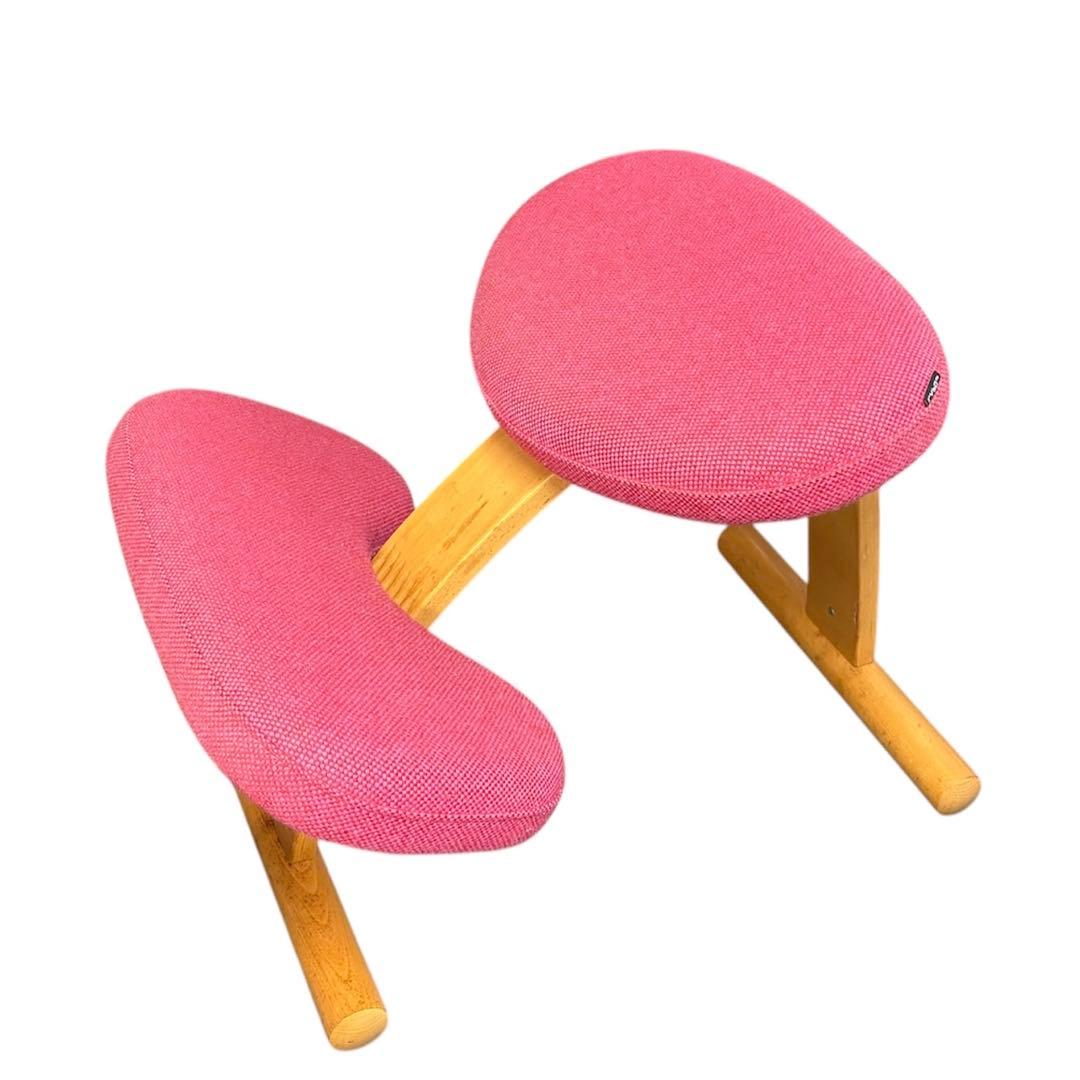 y*5様 Rybo リボ社 Balans Easy バランスイージー ピンク