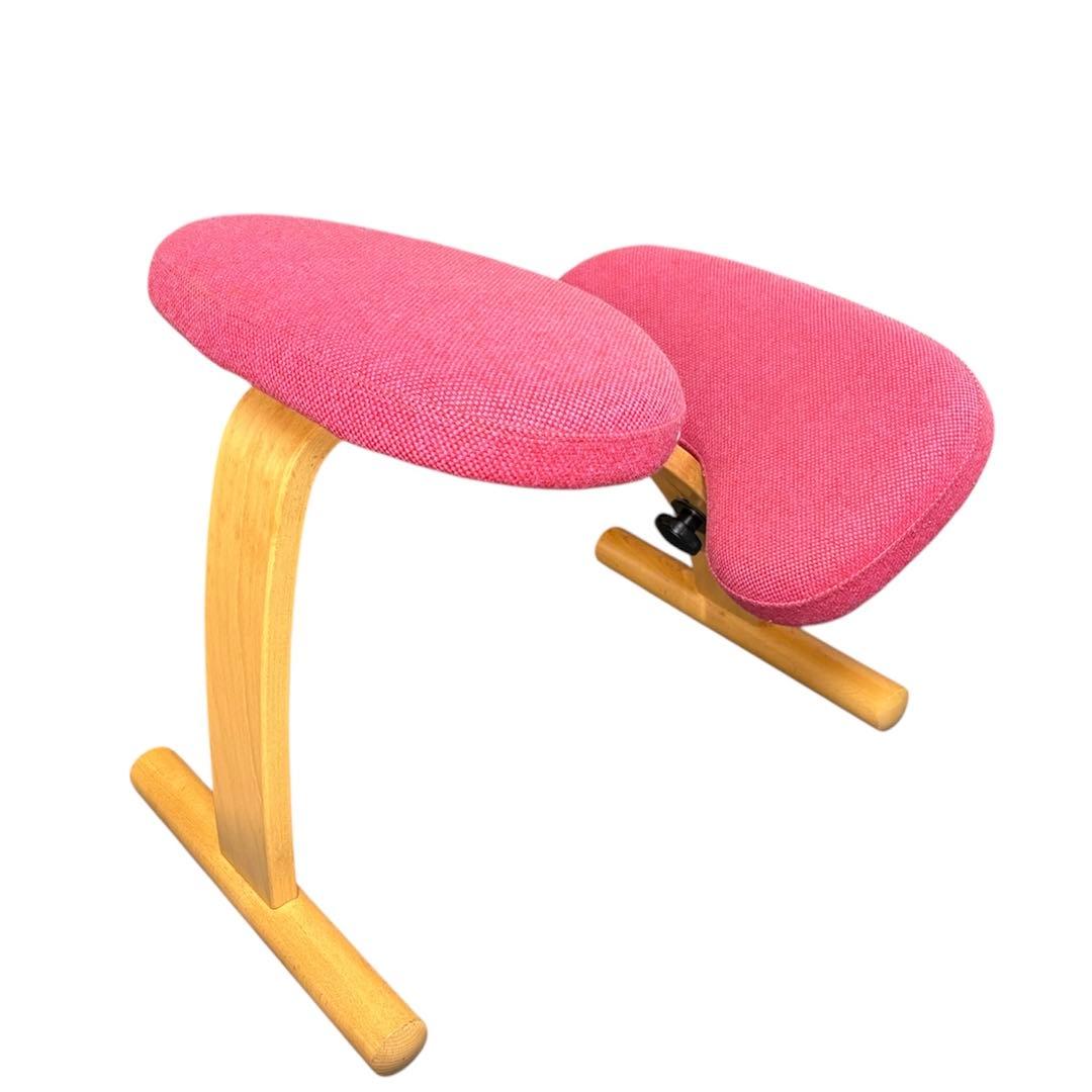 y*5様 Rybo リボ社 Balans Easy バランスイージー ピンク