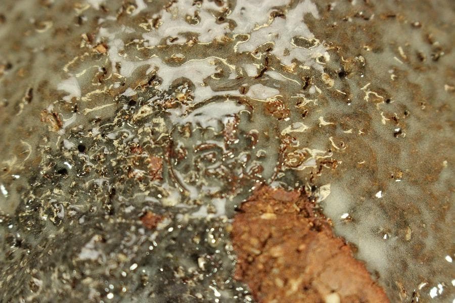 茶道具 萩茶碗 玉隆山 萩苑造 煎茶 箱入 404