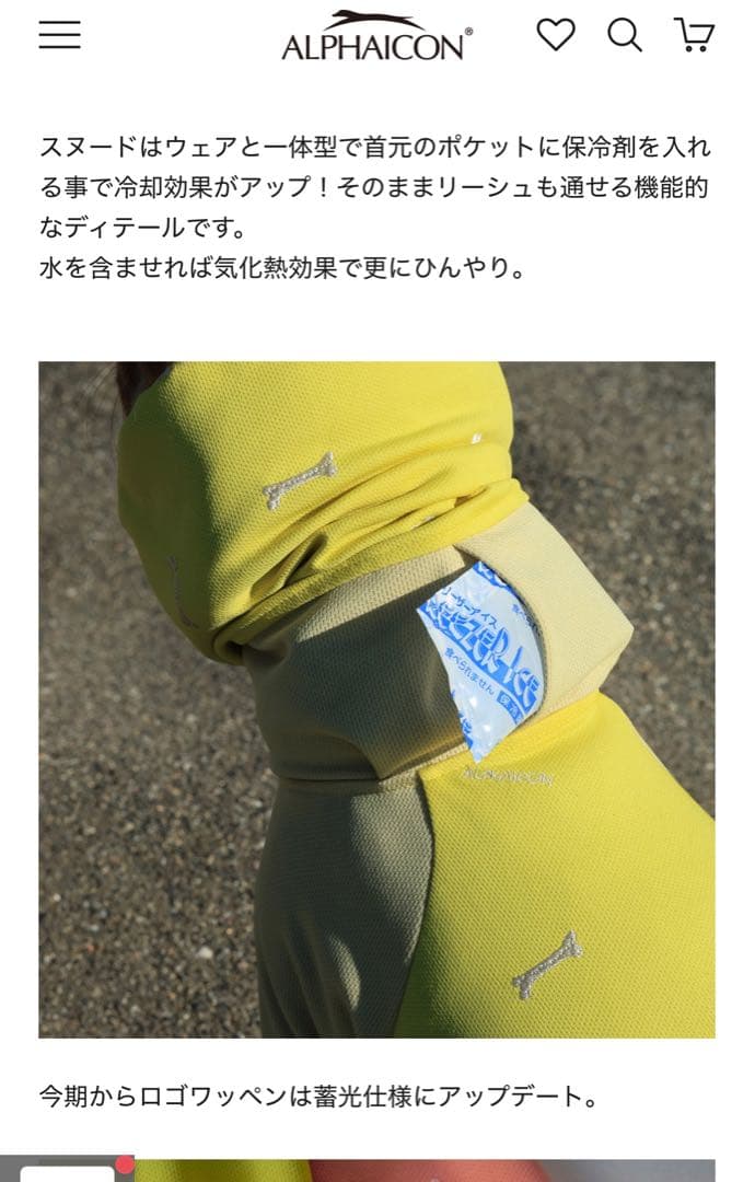 アルファアイコンドッグガードクール 2025 サイズSM