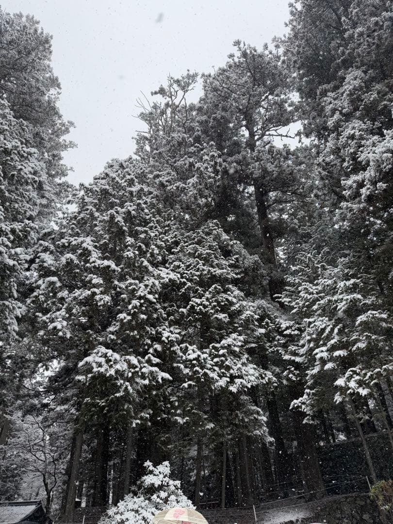 Akinashiyuichiさん専用