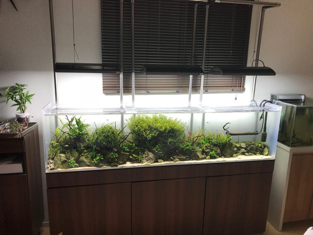 ひわ　大型アクリル水槽 横1800x高さ450x奥行き300mm 水槽のみ