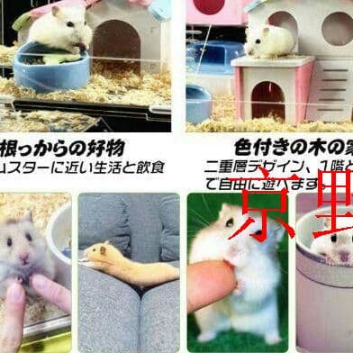透明なハムスターケージ ハムスターハウス ペッ通気性抜群 3階京野奈伊出品6