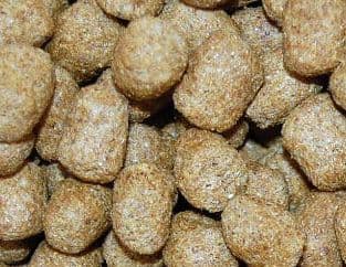 【マズリ】トータスダイエット5Ｍ21 リクガメ用ペレット mazuri 大袋