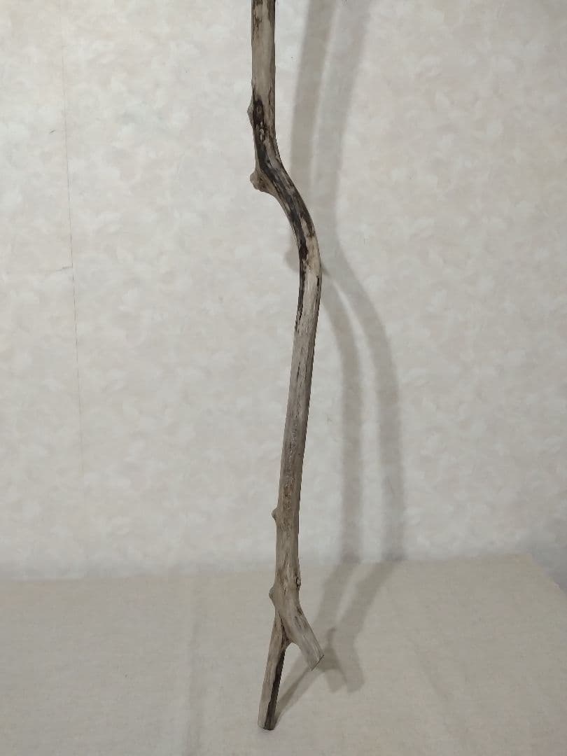 【希少】ガーデニング・DIY向け 超特大サイズロング流木 約160cm