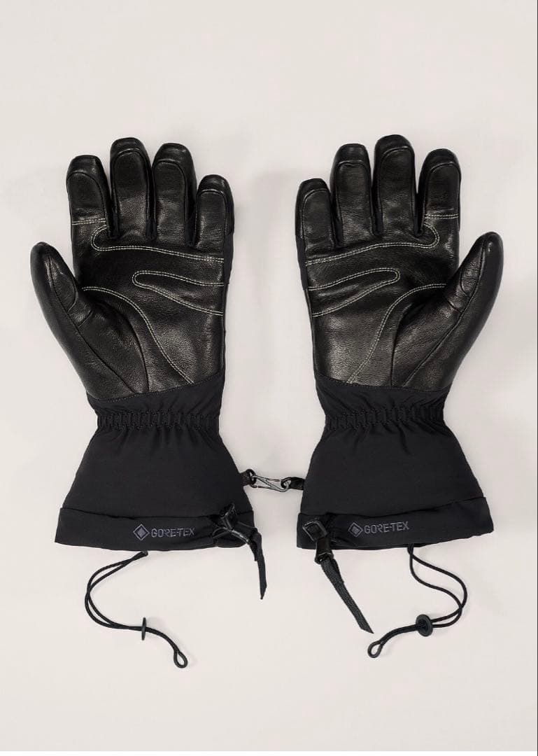 新品タグ付 Arc'teryx Fission SV Glove