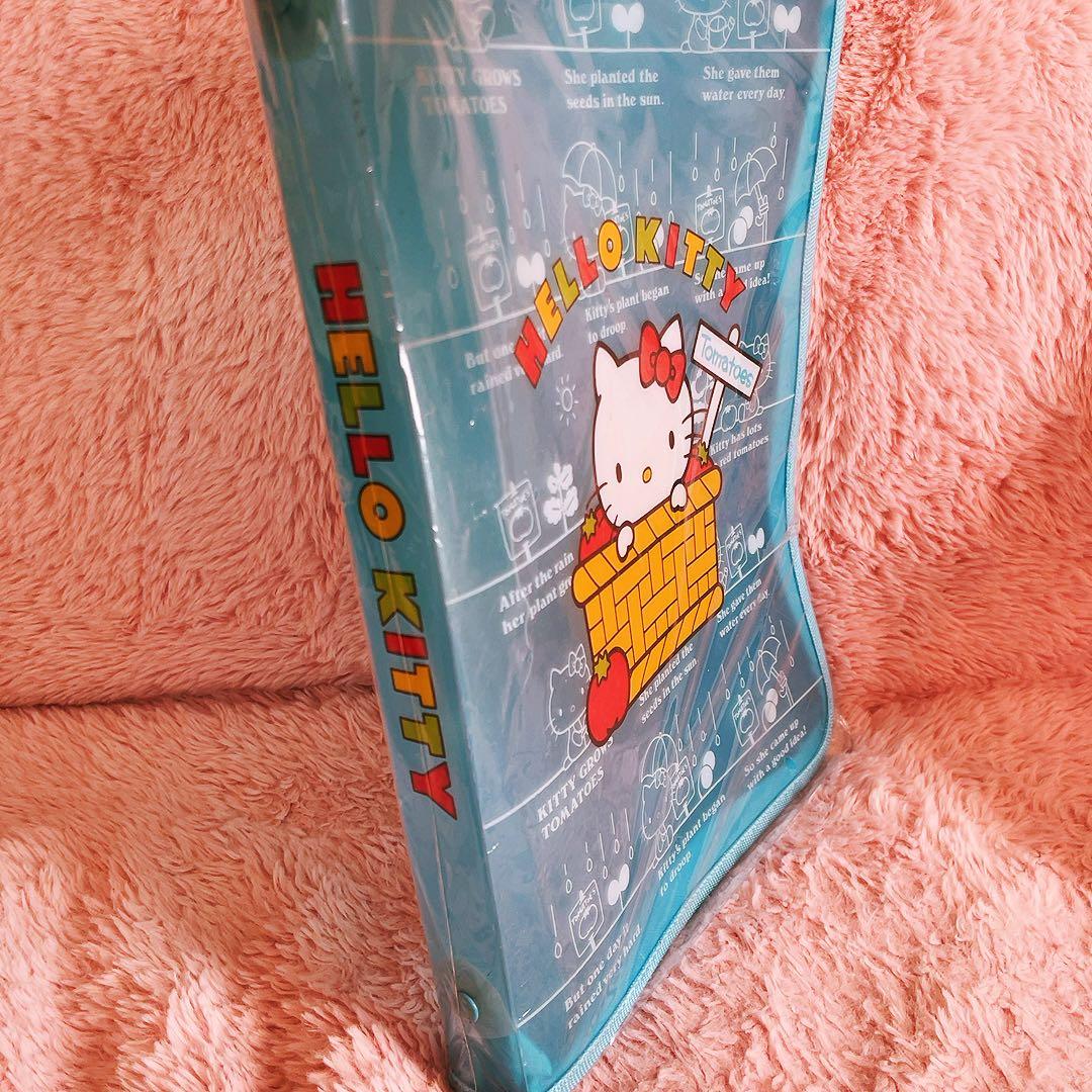 希少レア　ハローキティ　マルチケース　2001 2004年製 サンリオ　レトロ