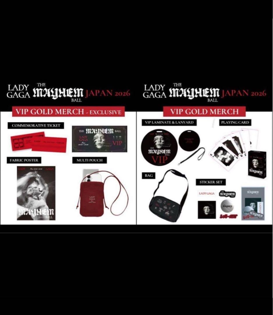 新品未開封　LADY GAGA VIP GOLD グッズ フルセット