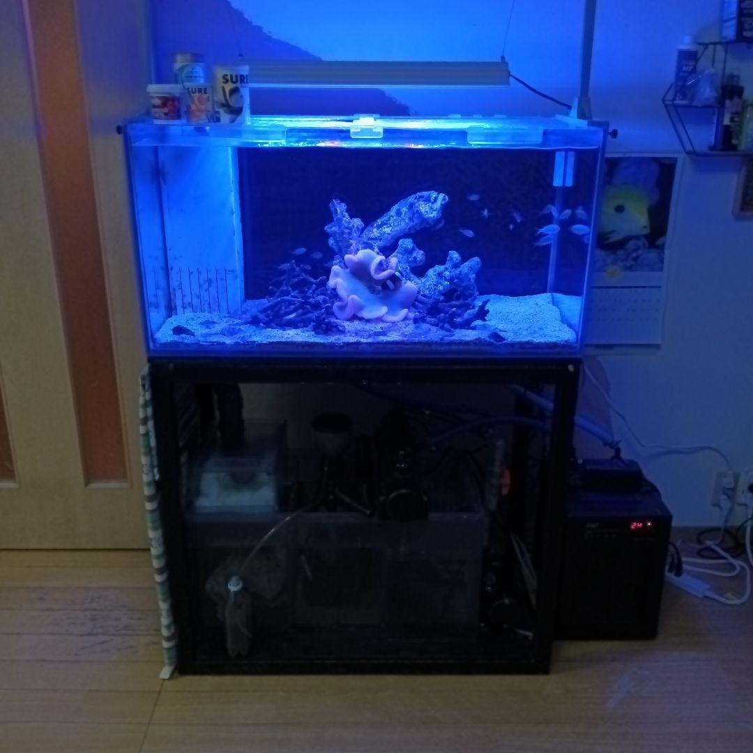 90x45x45ガラスオーバフロー水槽セット