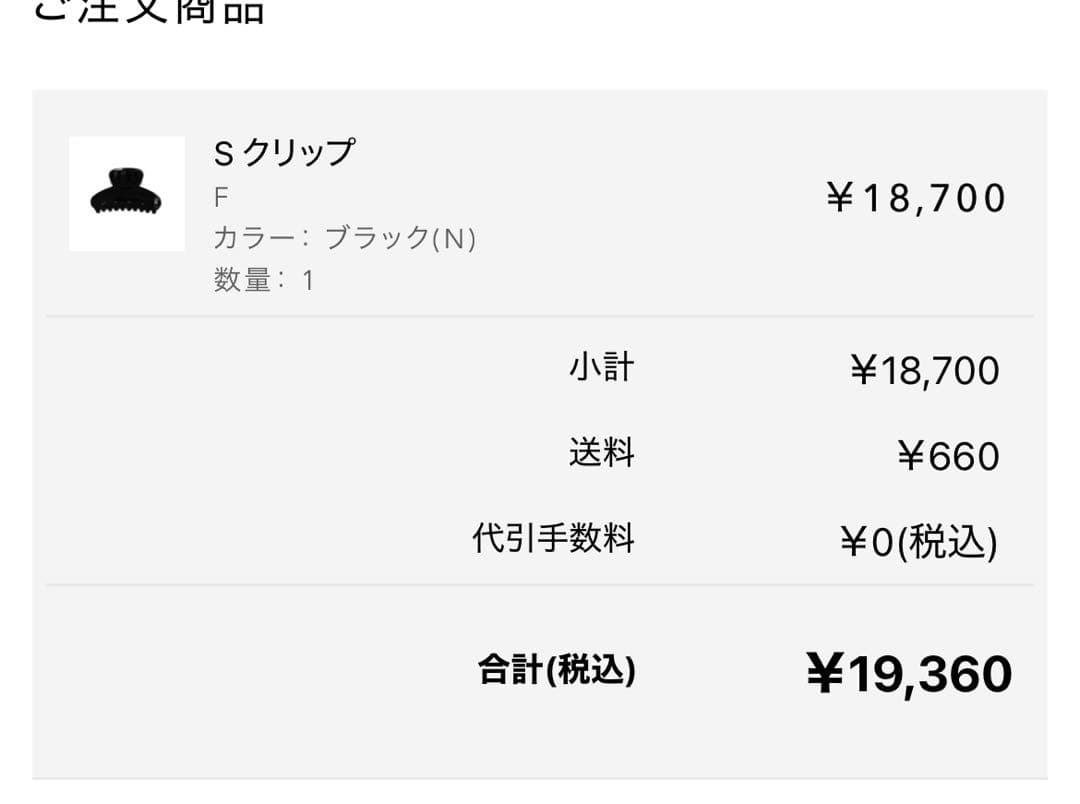 極美品　アレクサンドルドゥパリ　S クリップ