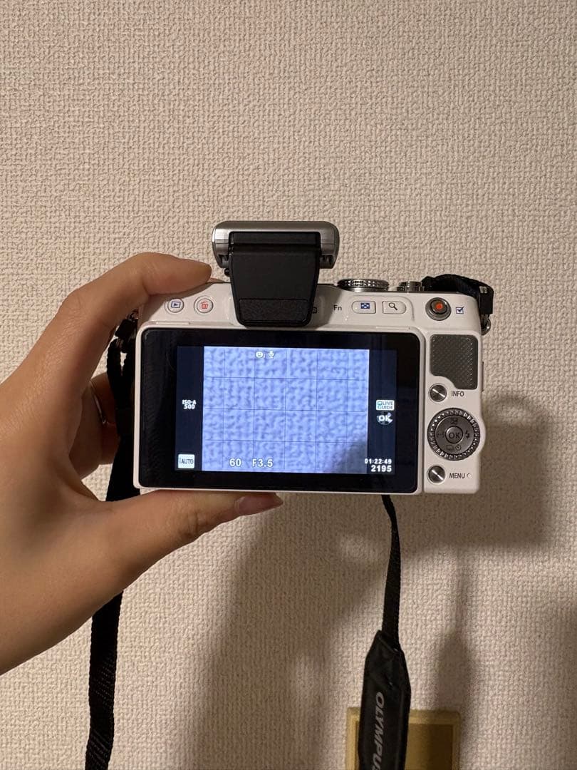 OLYMPUS PEN mini E-PM1 コンデジ　デジカメ