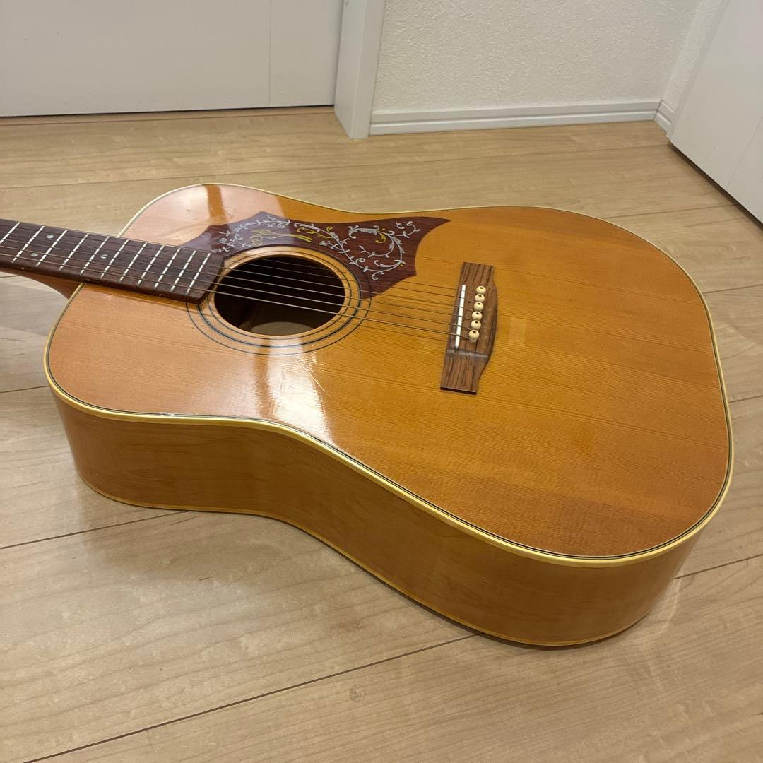 激レア　ZENON roje 全音　アコースティックギター　ハミングバードタイプ