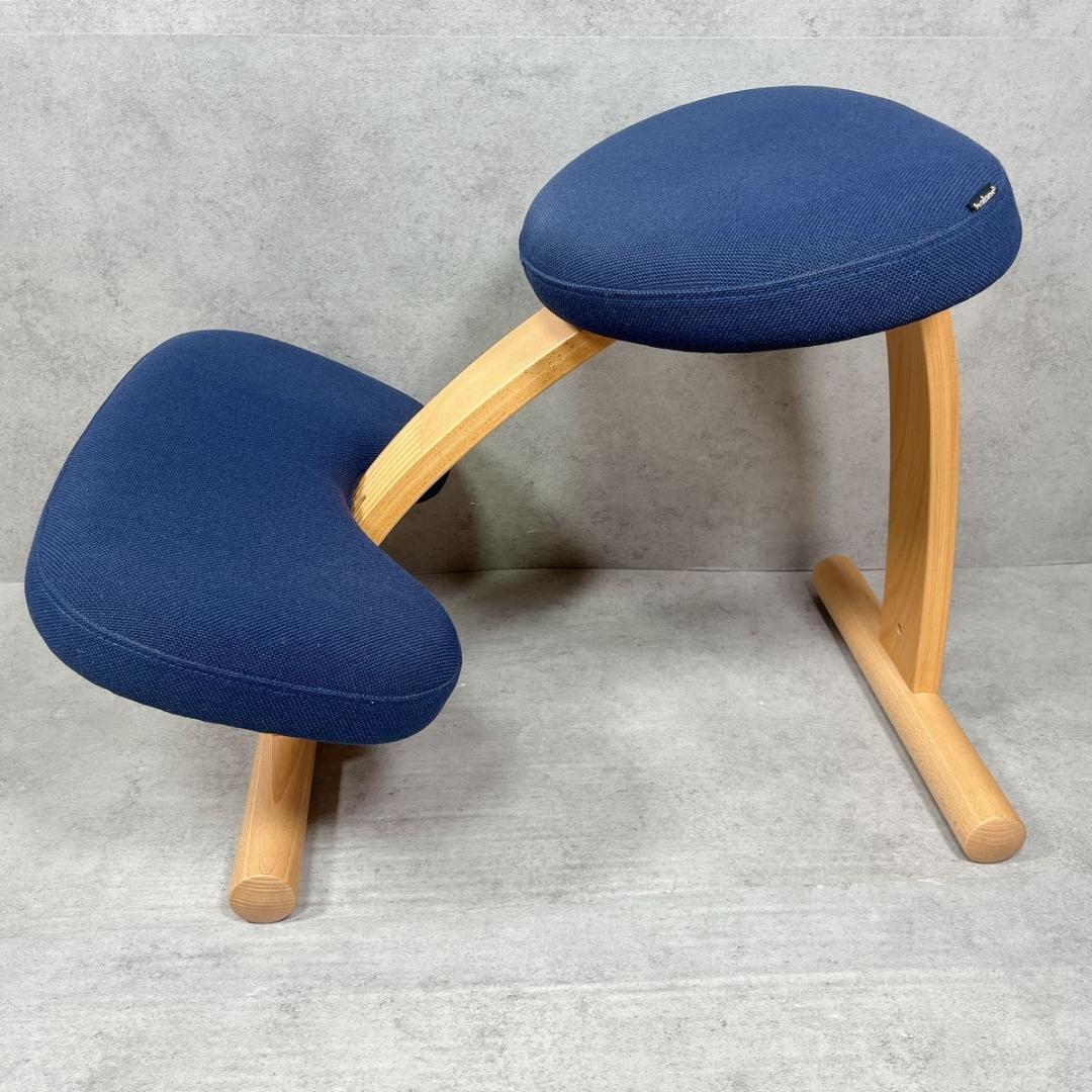 サカモトハウス Sakamoto バランスイージー balans Easy ネイ