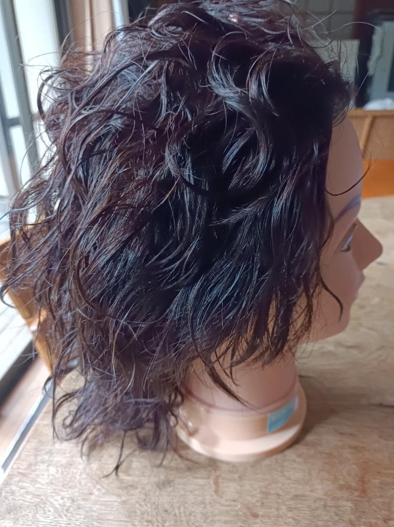 東京チャーム　オールウェーブ用モデルウィッグ　R900N