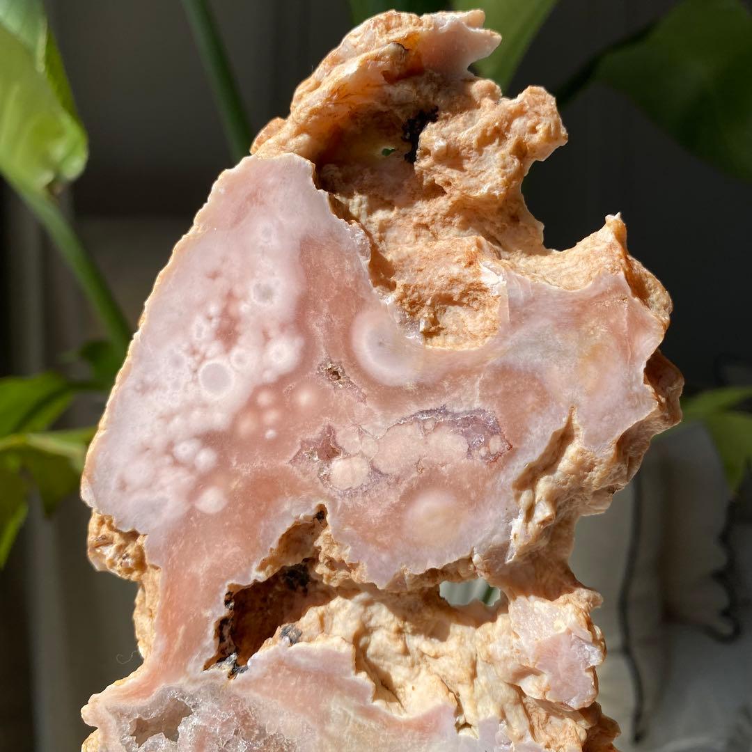 【 高品質 美しい ピンク アメジスト フラワーアゲート 原石 スラブ 台座付き