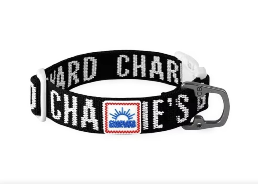 CHARLIE'S BACKYARD ハーネス・首輪・リードの3点セット