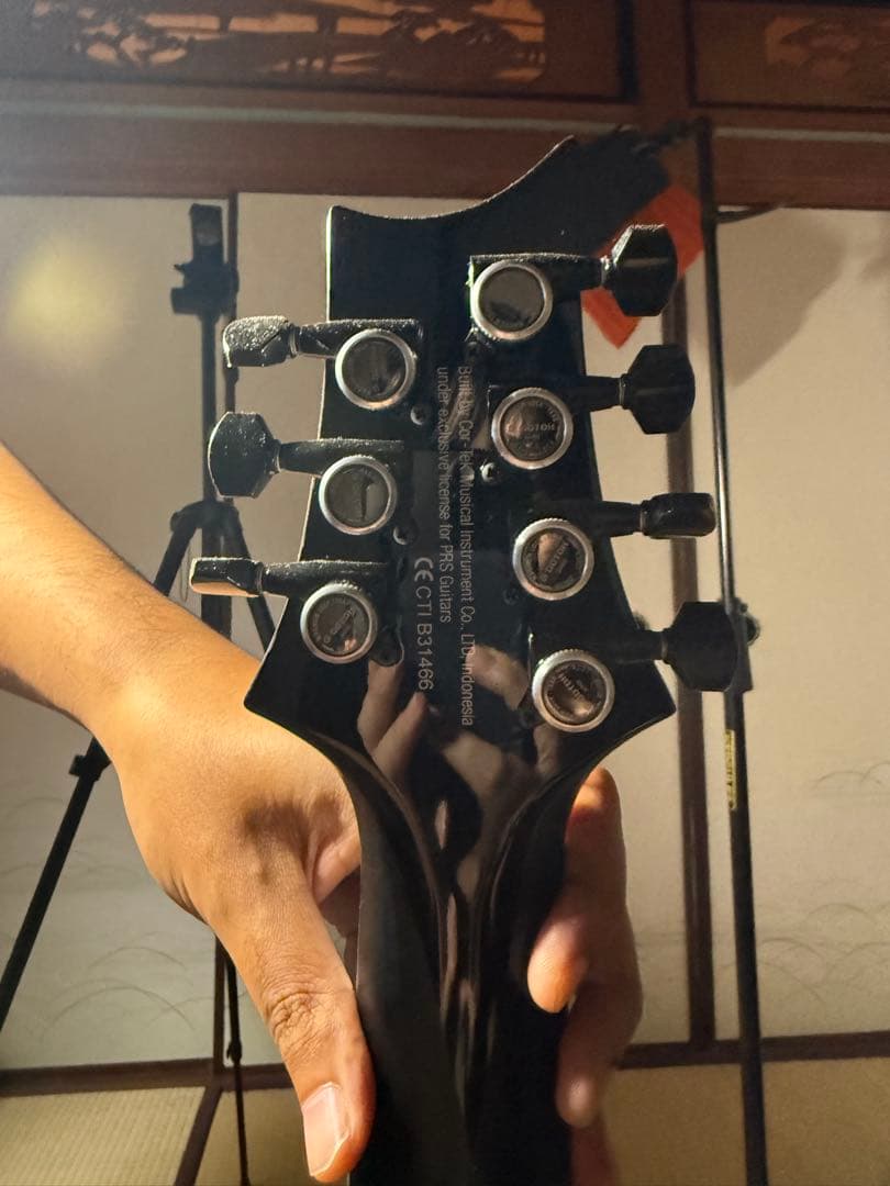 PRS SE Holcomb SVN / Purple Burst 廃盤モデル