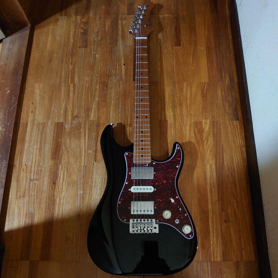 送料込みバッカスストラトコイルタップ搭載ギター