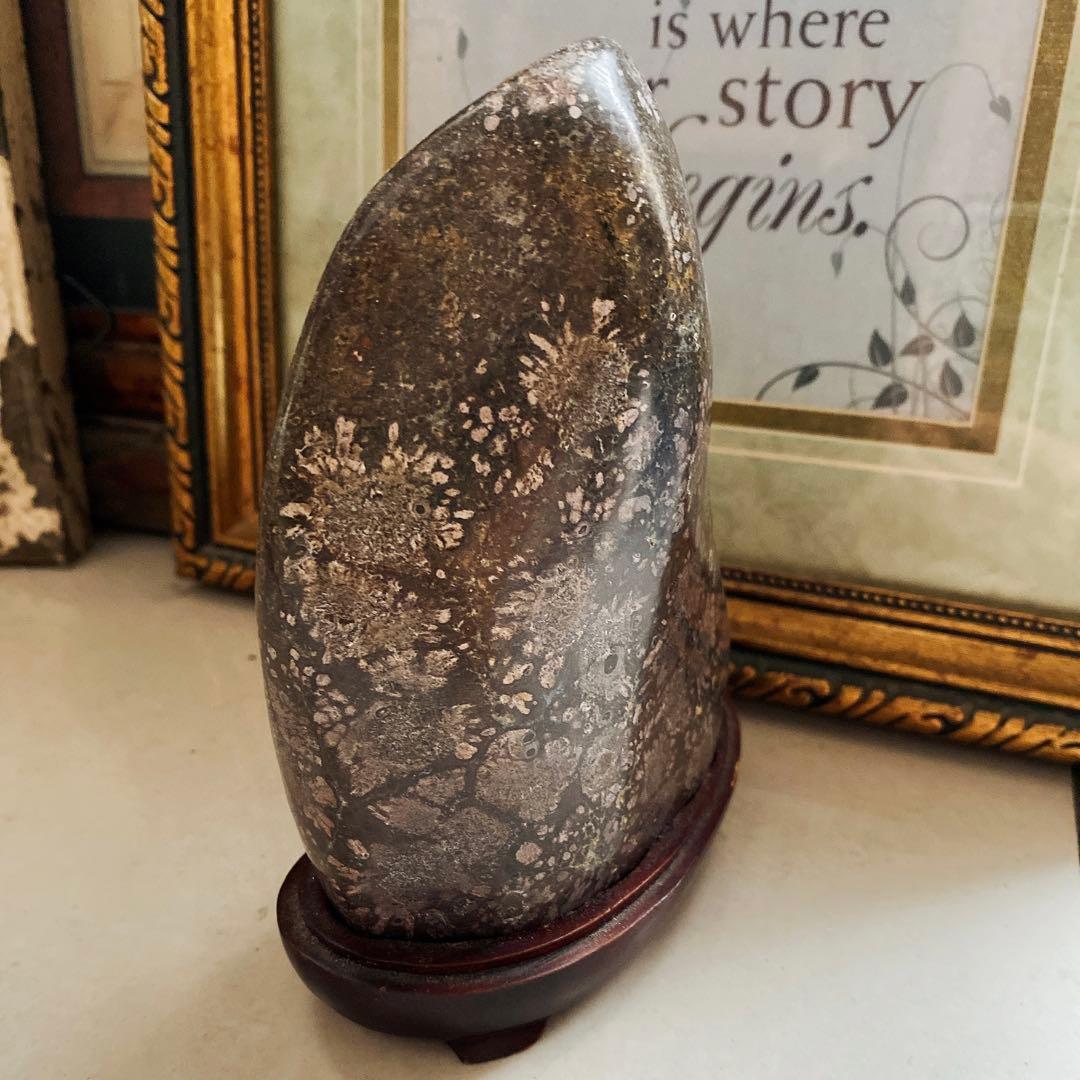 菊花石　花紋石　根尾谷