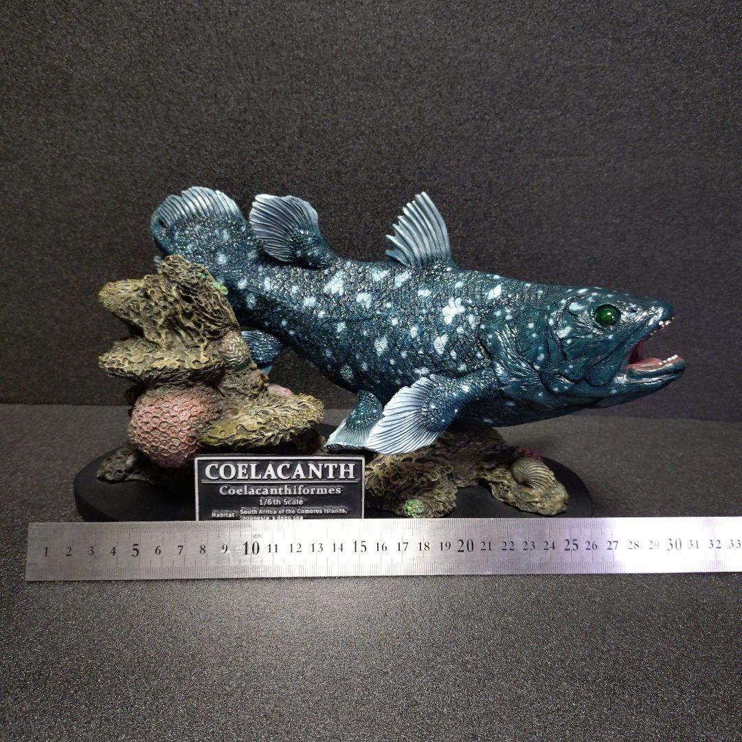 シーラカンス　スタチュー スターエーストイズ