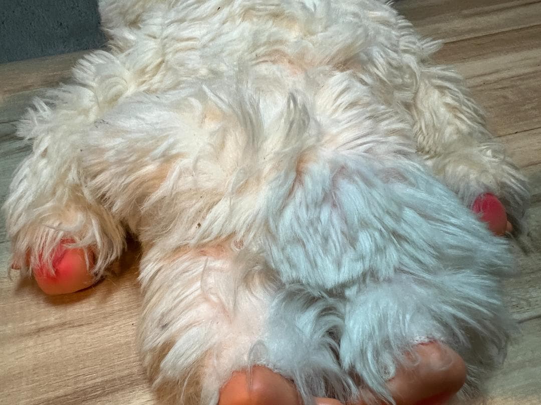 d*2様 レア 70年代 モンチッチ まごころの人形 大助くん スリープアイ 茶