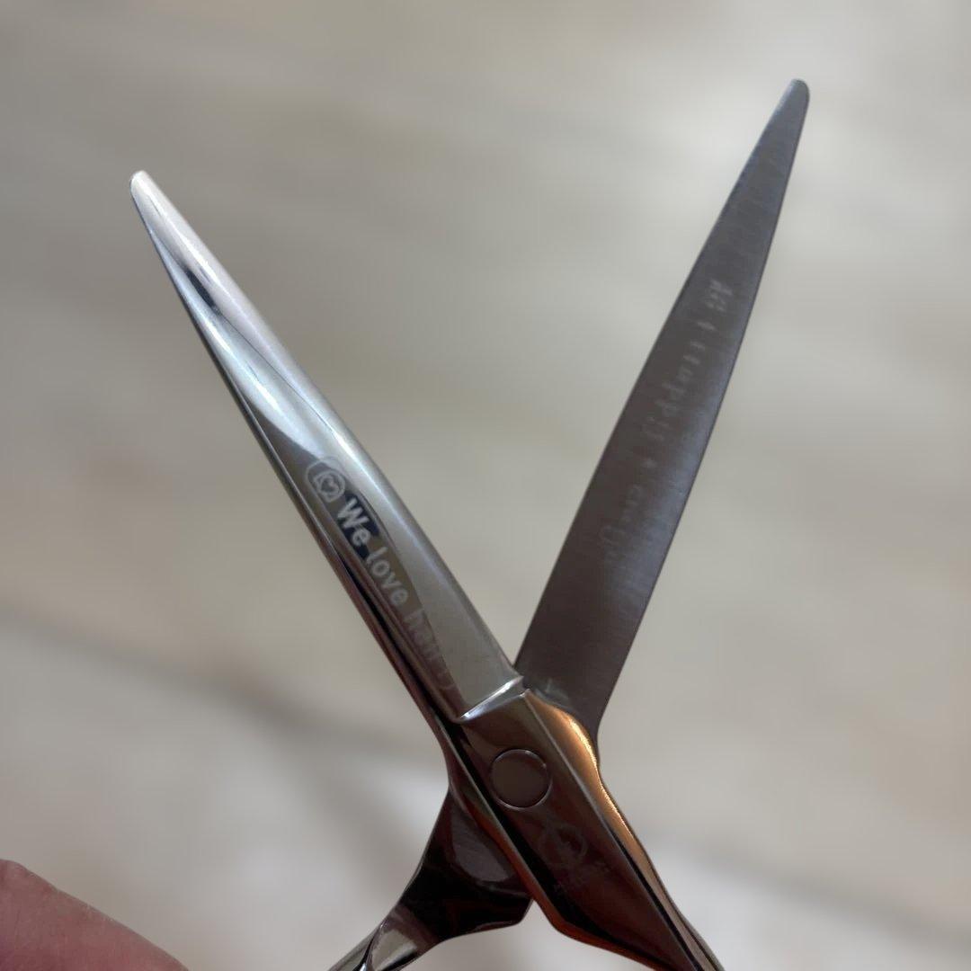 MIZUTANIシザー We Love hair 専用ケース付き