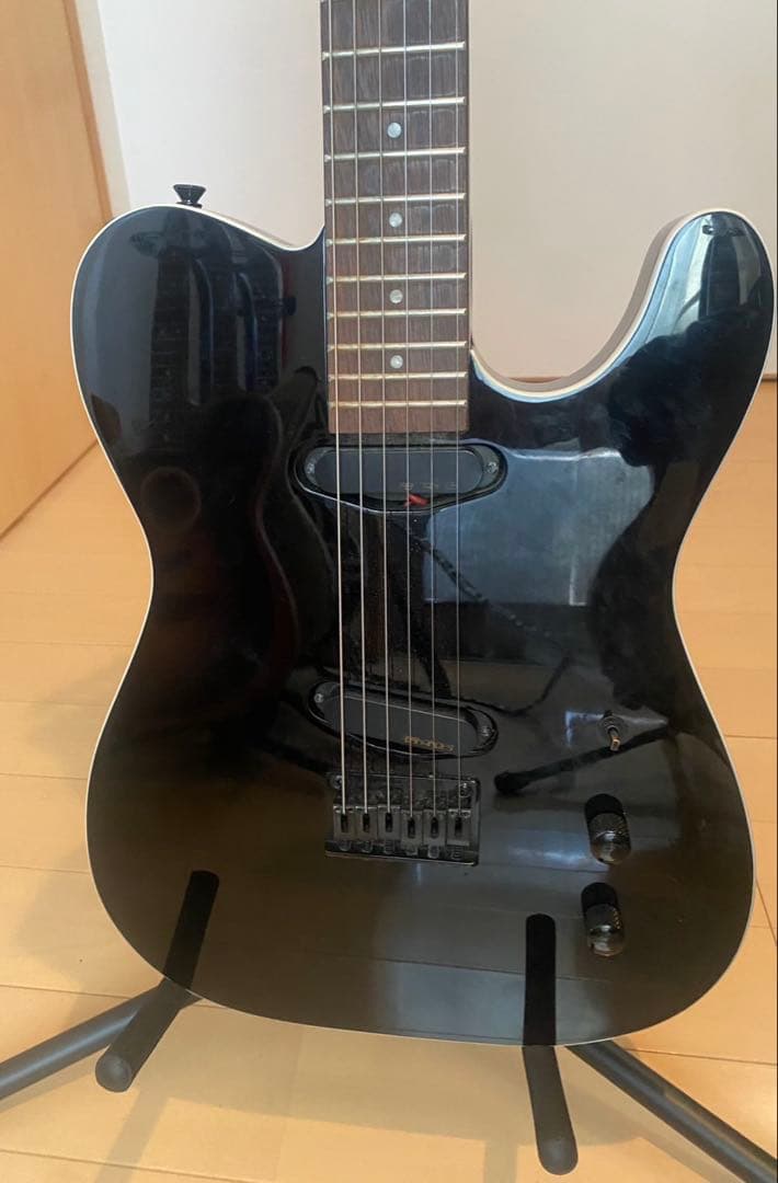 【即購入歓迎】FERNANDES ギター