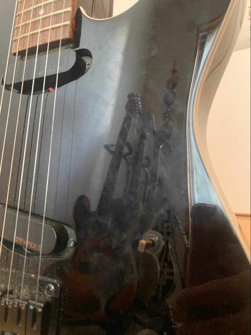 【即購入歓迎】FERNANDES ギター