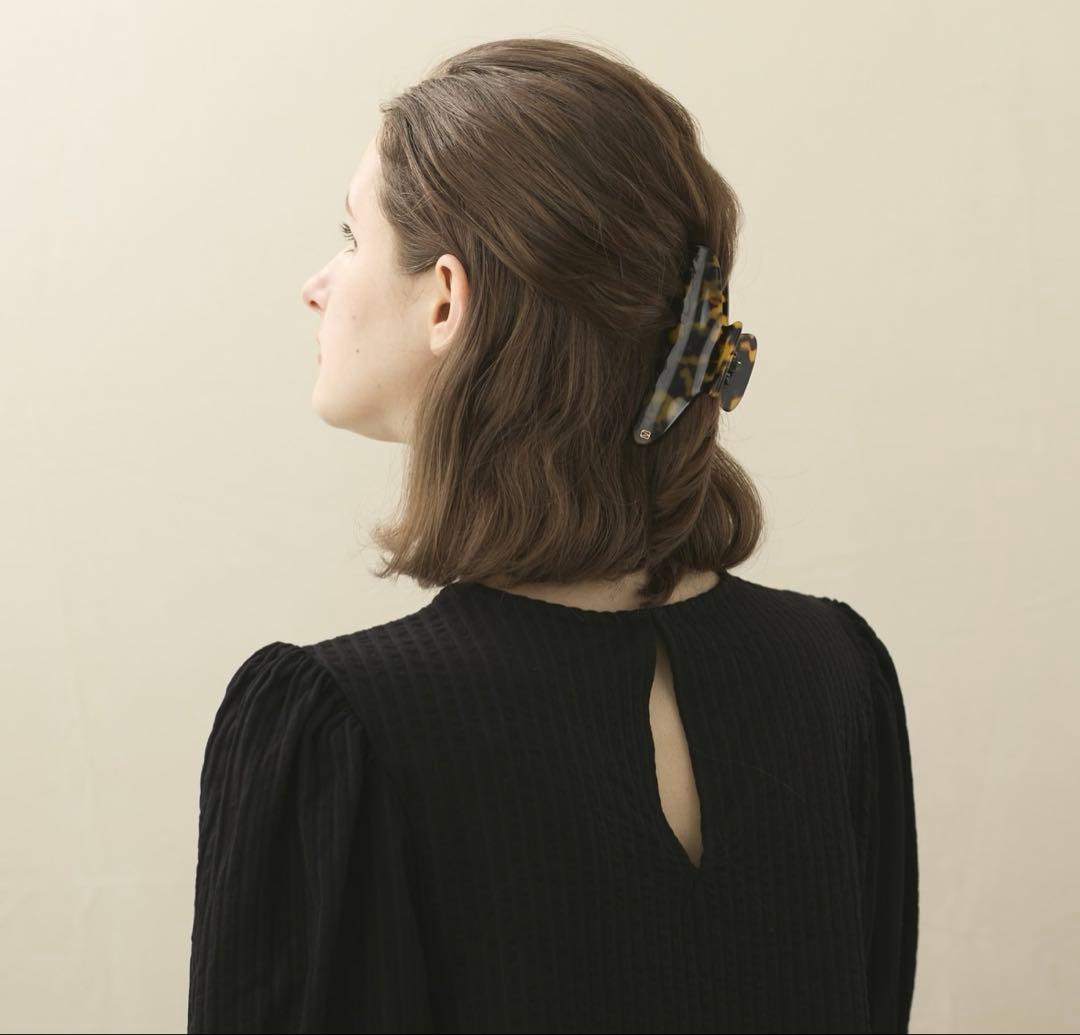 ALEXANDRE DE PARIS Lサイズ　クリップ　スワロフスキー