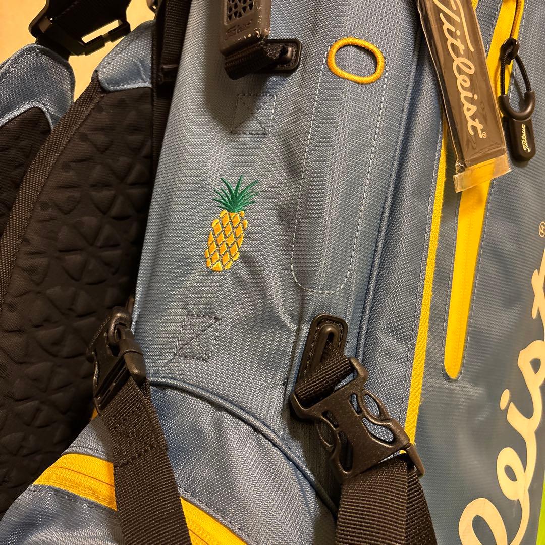 Titleist スタンド式キャディバッグ 薄ブルー