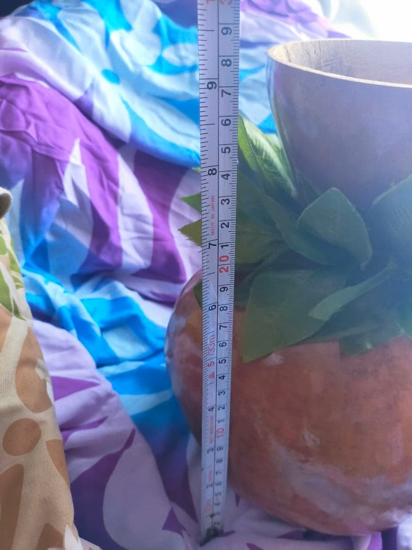 イプ ・ケース付き（おまけ）