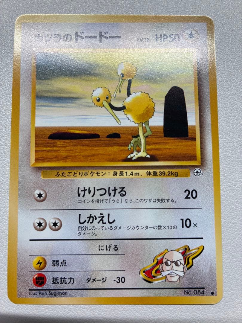 カツラのドードー　ポケモンカード　旧裏面　未使用　美品　ジム　見本